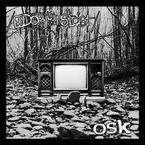 Endorphins Lost - OSK - split